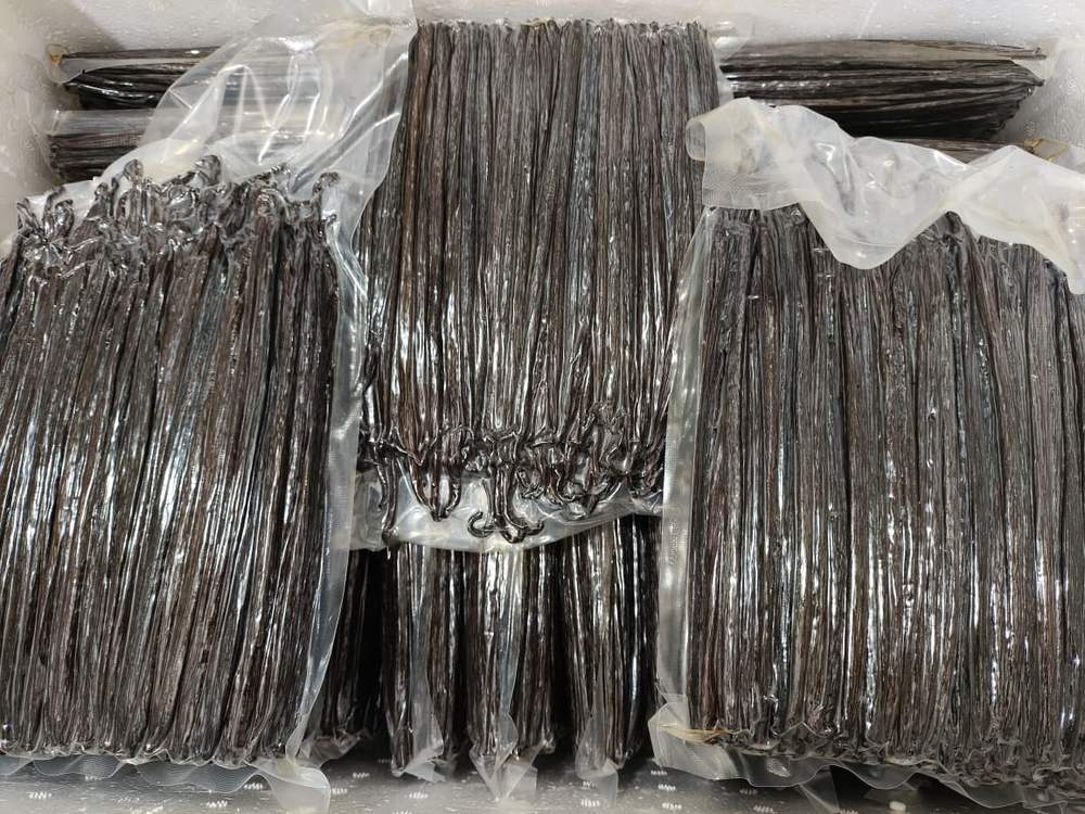 Bulk vacuum-packed Indonesian vanilla beans in bricks, organized in an export box ready to ship worldwide