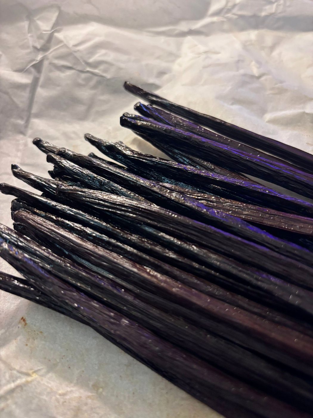 Premium export-grade Indonesian vanilla beans